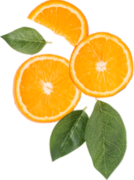 Cocumelo